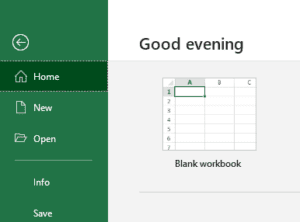 Blank Excel workbook