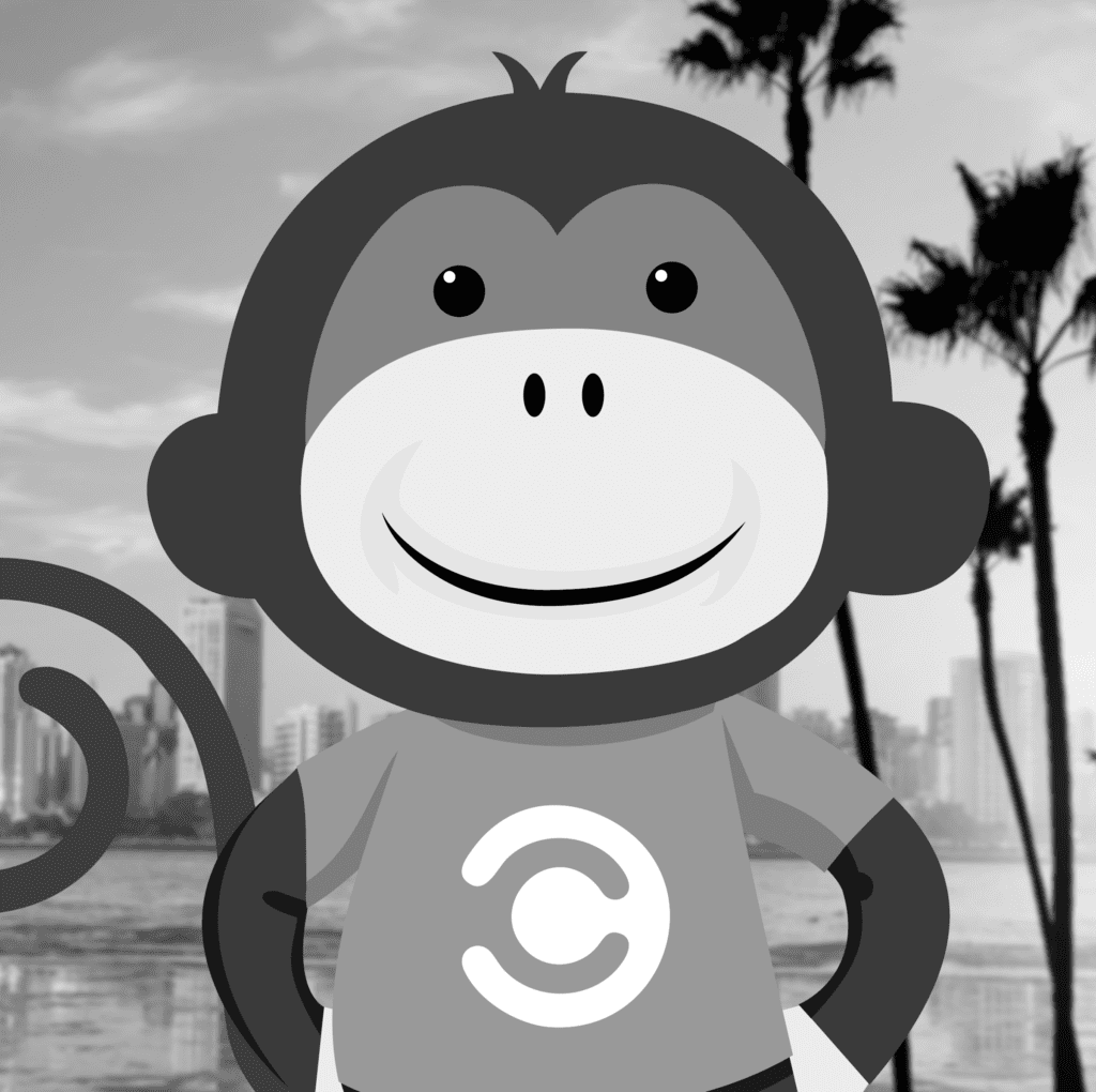 IT Monkey About Us Team Image