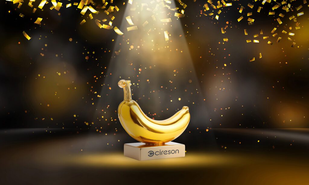ITSM Awards 1 Bronze Banana Award
