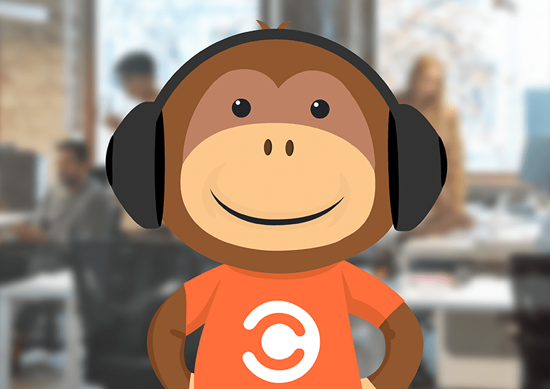 IT Monkey In Office