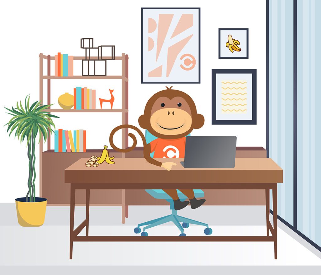 IT Monkey at Desk